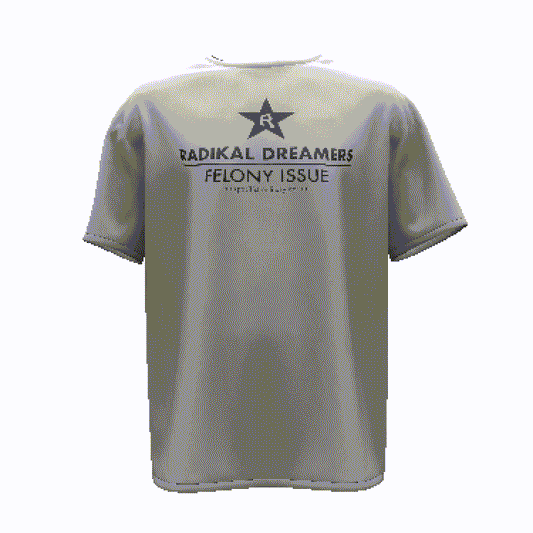 FELONY ISSUE